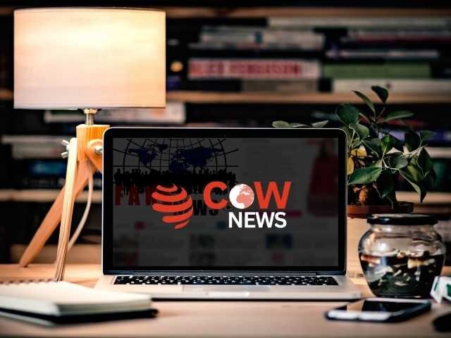 Cownews-AboutUs-Section