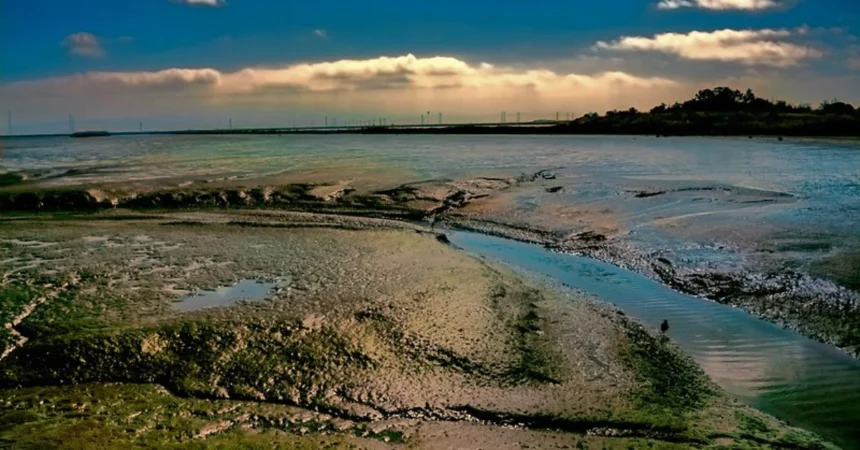 The Unpredictability of the Global Water Cycle: UN's Alarming Warning