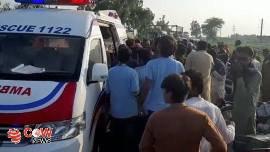 Eight killed as van plunges into ravine