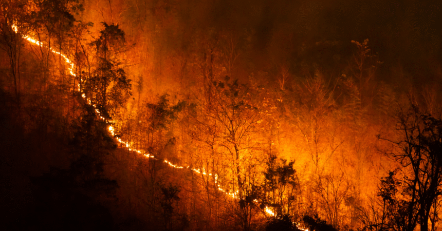 Izmir Wildfire Rages On_ Hundreds Evacuated as Blaze Enters Third Day