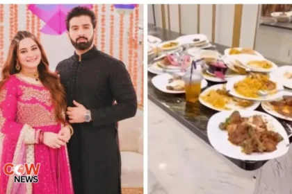 Muneeb Butt Criticizes Wedding Guests
