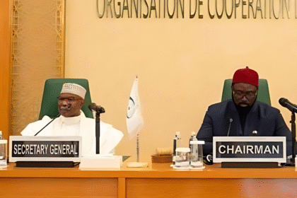 OIC Gathers to Address Alleged Israeli War Crimes