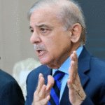 PM Shehbaz Sharif Orders Extension of Electricity Bill Payment Deadlines by 10 Days