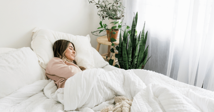 Get Paid to Sleep!