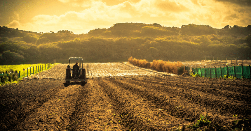 What’s Causing Malnutrition in a Nation of Agricultural Abundance blogs