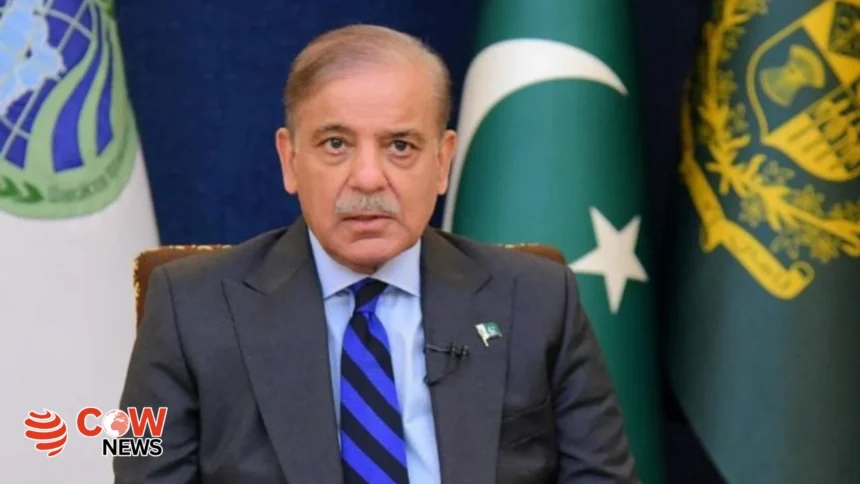 PM Shehbaz Sharif calls for immediate steps to protect glaciers