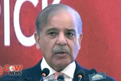 Significant Reduction in Electricity Prices in Coming Months
