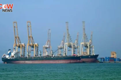Oil Prices Drop After Ceasefire Announcement