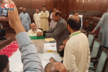 PTI Wins 6 Seats in KP Senate Elections; Opposition 5
